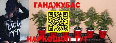 индика Баксан