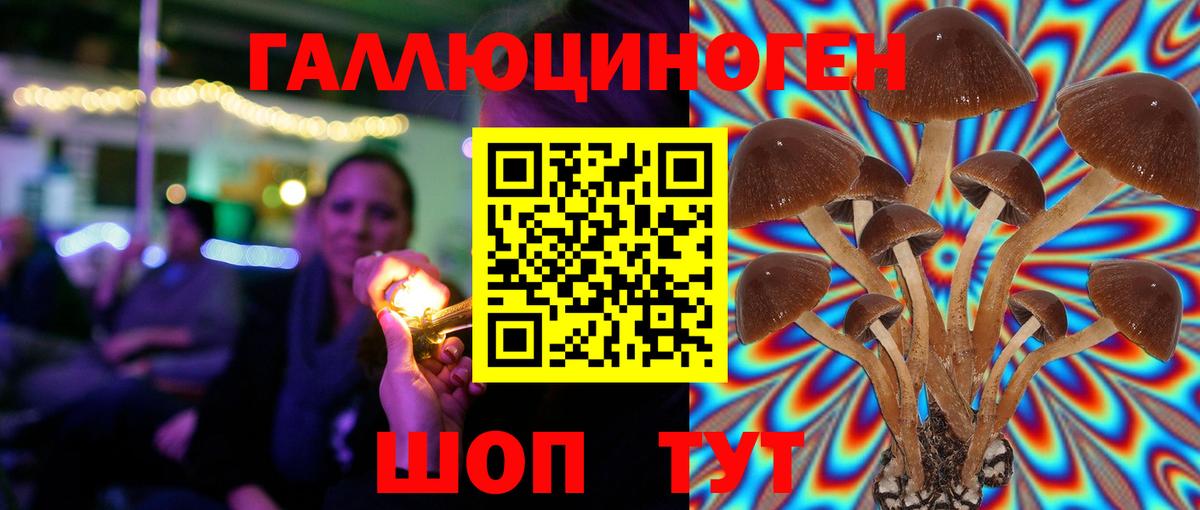 Псилоцибиновые грибы ЛСД Борзя